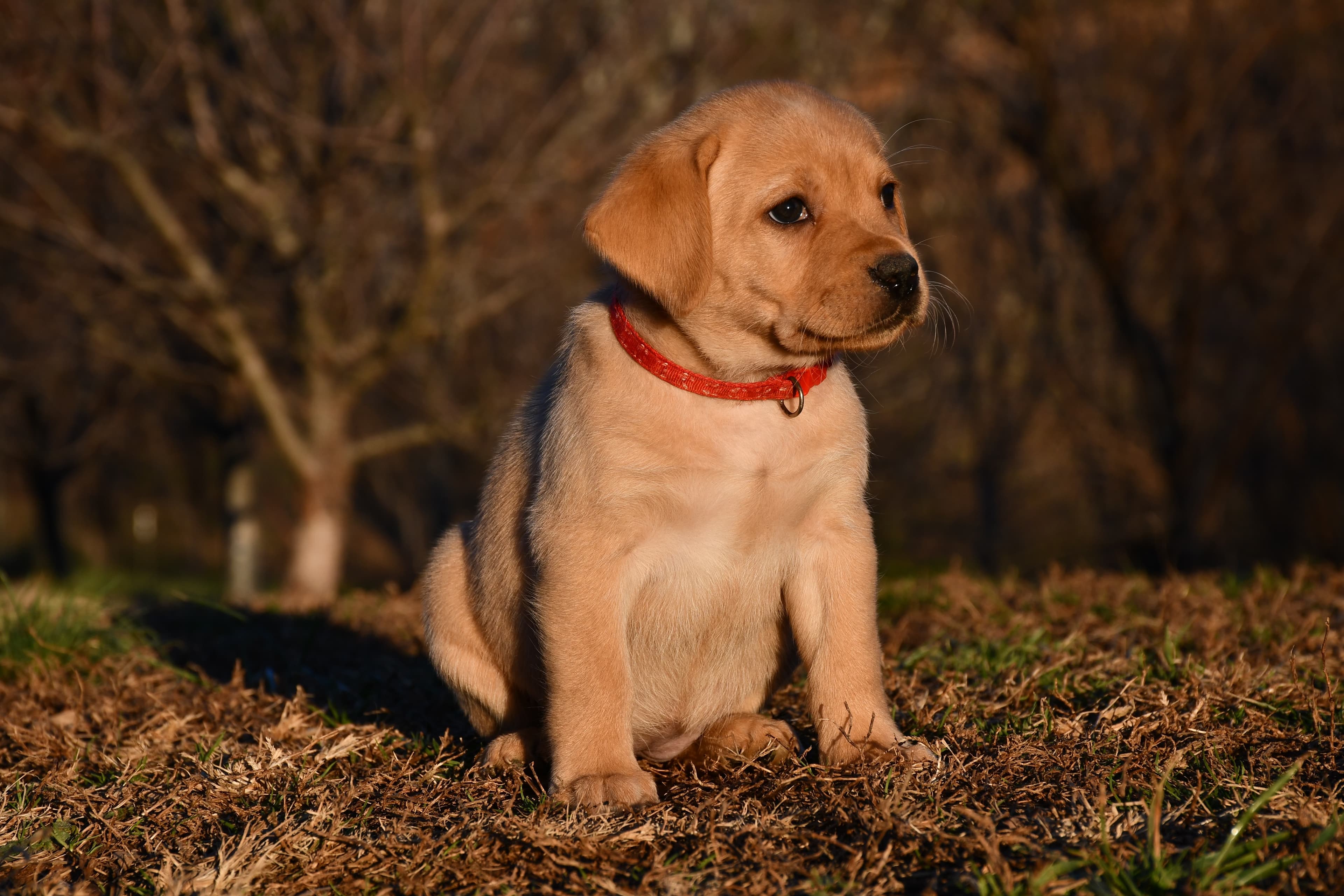 Finished cakes ready for pickup